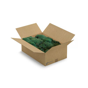 Flat moss box 3kg [XL] Dark