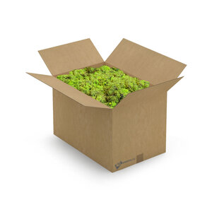 ECO moss Apricis | XXL box | The cheapest