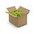 ECO moss Apricis | XXL box | The cheapest