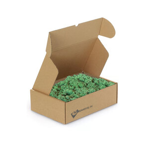 Reindeer moss box M Dimidium 0,10 m²