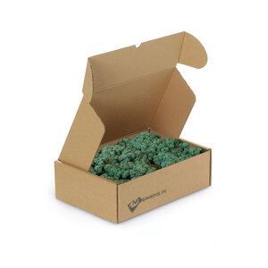 Reindeer moss box M Forest 0,10 m²