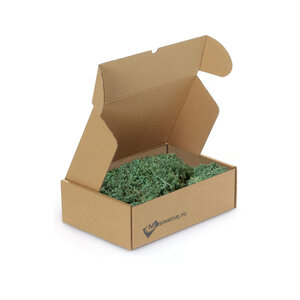 Reindeer moss box [M] Forest Mix