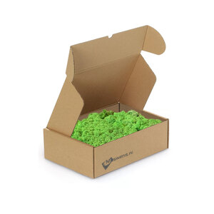 Reindeer moss box M Pacem light 0,10 m²