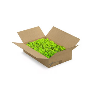 Reindeer moss box [L] Apricis