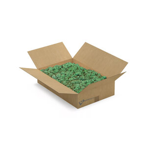 Reindeer moss box [L] Dimidium