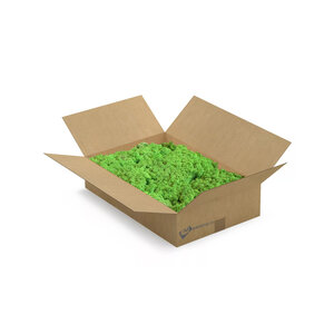 Reindeer moss box L Pacem light 0,20 m²