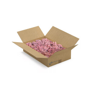 Reindeer moss box L Rozea 0,20 m²
