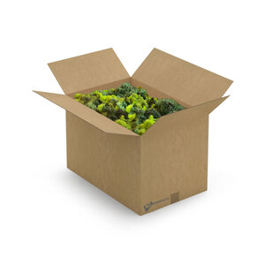 ECO moss Box XXL Mix 1,40 m² | The cheapest