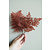 Lutti Fern red leaves prepared