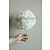 Hydrangea flower white prepared