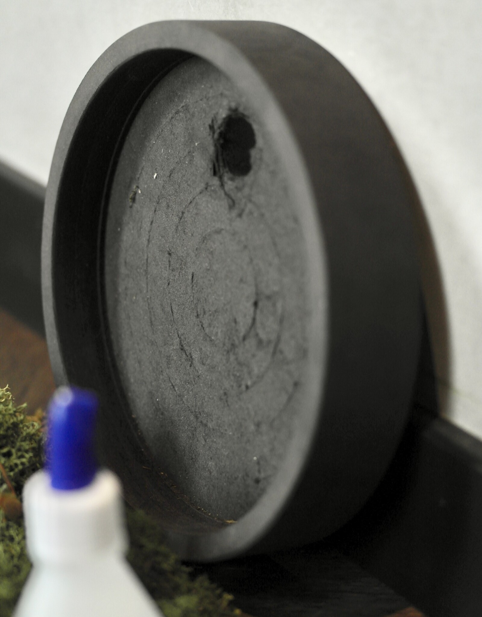 [DIY] Cirkel mospakket 20 cm