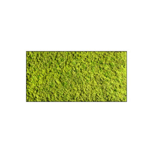 Moss rectangle Apricis