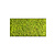 Moss rectangle Apricis