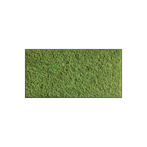 Moss rectangle Dimidium