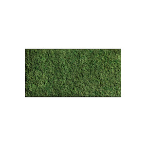 Moss rectangle Forest