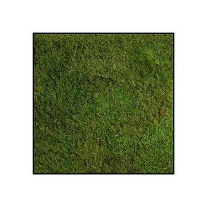 Moss square Plana Lucem