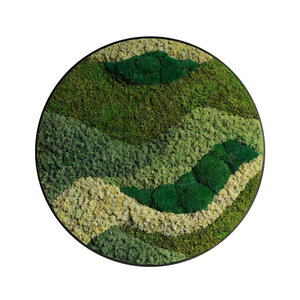 Moss circle style Fluctus