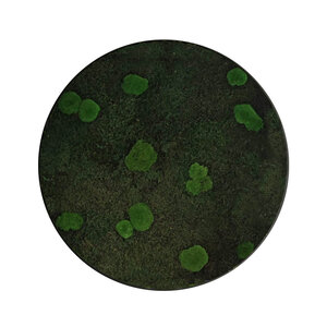 Moss circles style Floki