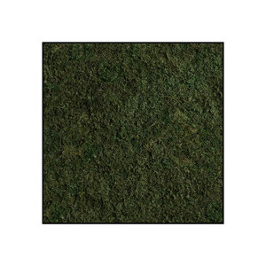 Moss square Plana Tenebris