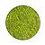 Moss circle style Apricis