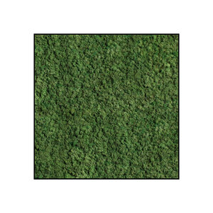 Moss square Forest