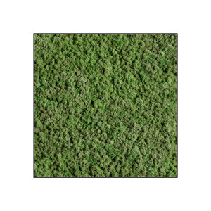 Moss square Dimidium