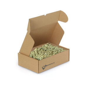 Reindeer moss box M Vetus 0,10 m²