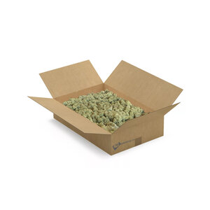 Reindeer moss box L Vetus 0,20 m²