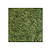 Moss square ECO Dimidium