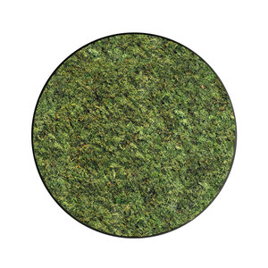 Moss circle style ECO Dimidium