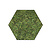 Moshexagon ECO Dimidium