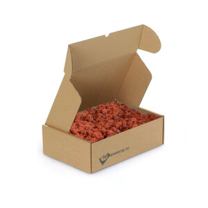 Reindeer moss box M Currant 0,10 m²
