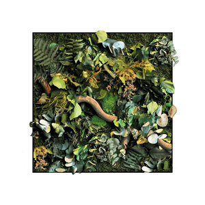 Junglevierkant Java