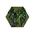 Junglehexagon Jane