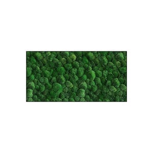 Mosrechthoek 100%  Bulbs inclusief lijst