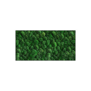 Moss rectangle 100% Bulbs including frame