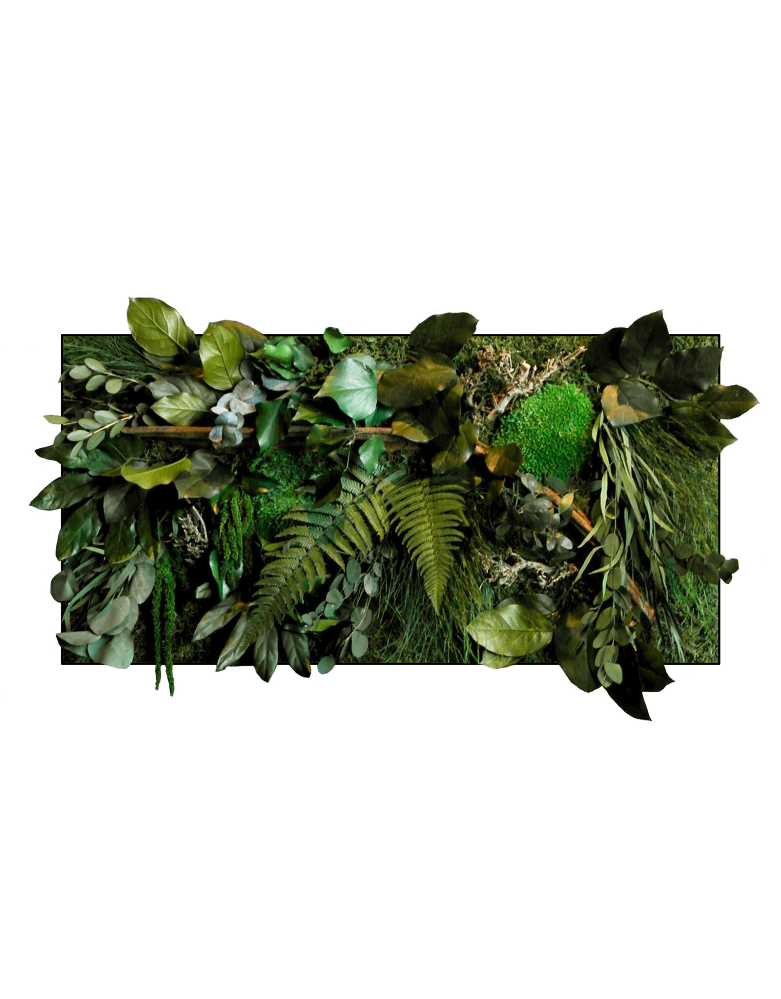 Jungle rectangle Java