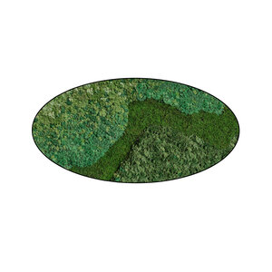 Moss oval Zanna