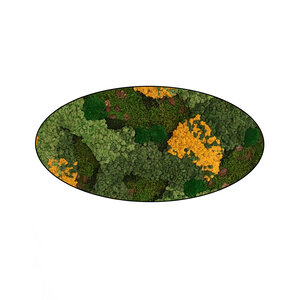 Moss oval Gobi