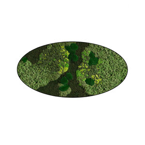 Moss oval Cyrus