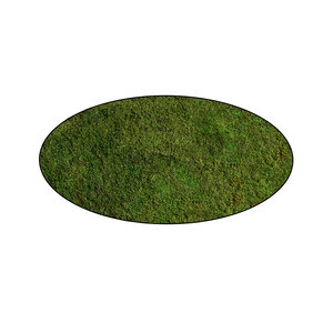 Moss oval Plana Lucem