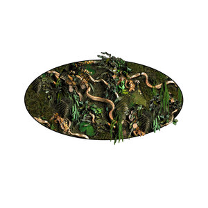 Moss oval Liana