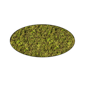 Moss oval ECO Apricis