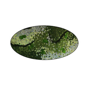 Moss oval Caeruleum