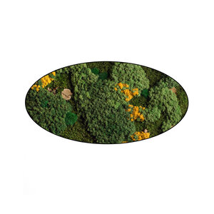 Moss oval Flavo