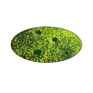 Moss oval Varius