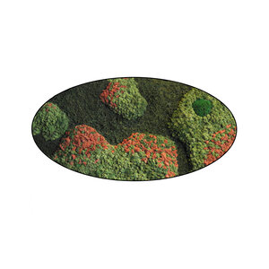 Moss oval Terra