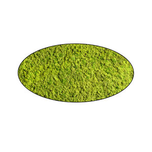 Moss oval Apricis