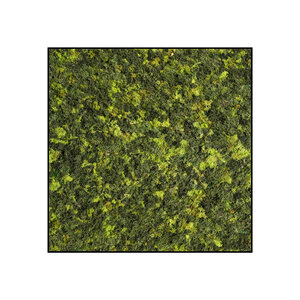 Moss square ECO Mix