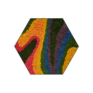 Mosshexagon Rainbow